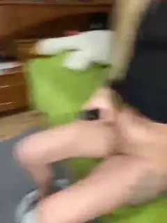 -breid-1
