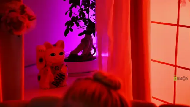 000---