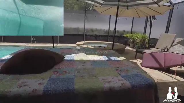 adamevetv