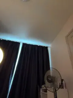 aesstheticss