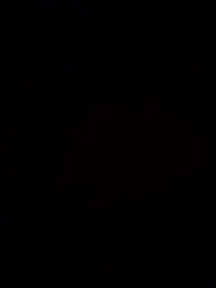 alise8881