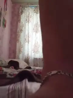 andrei2409199