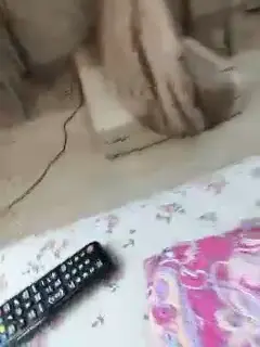 angelia22