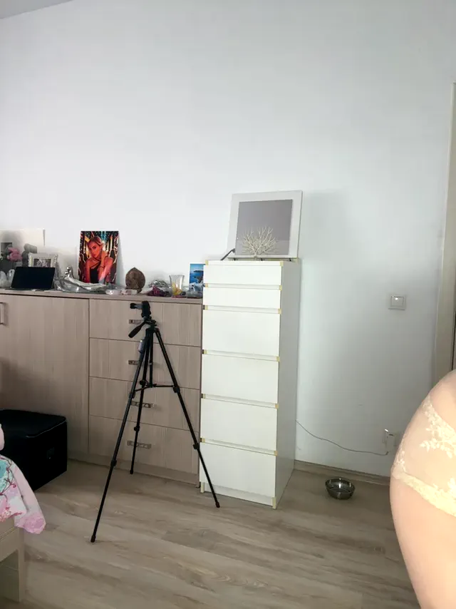 angelicfenix
