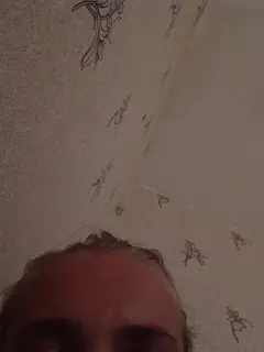 astahichalena