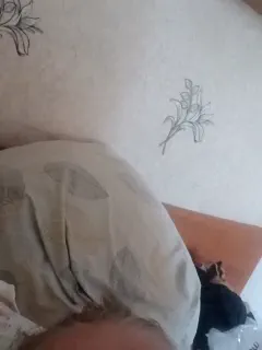astahichalena