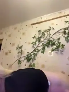 bellaandalice
