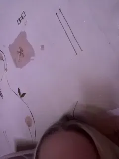 bellaandalice