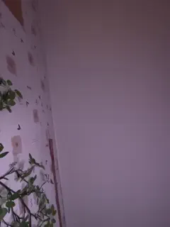 bellaandalice