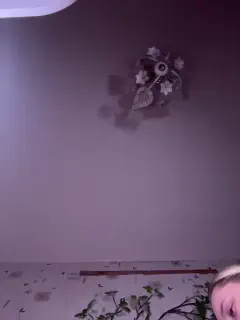 bellaandalice