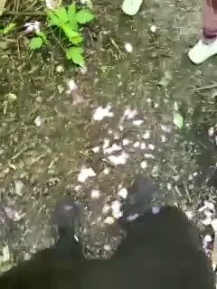 crazy-lady
