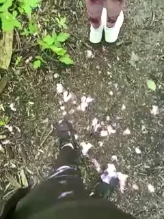 crazy-lady