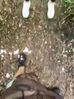crazy-lady