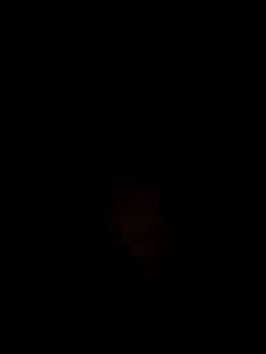 debbielu