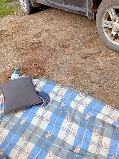 dimasiktrackdriver