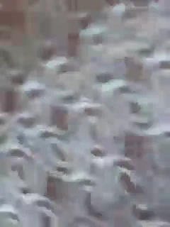 editamilf