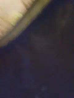 editamilf