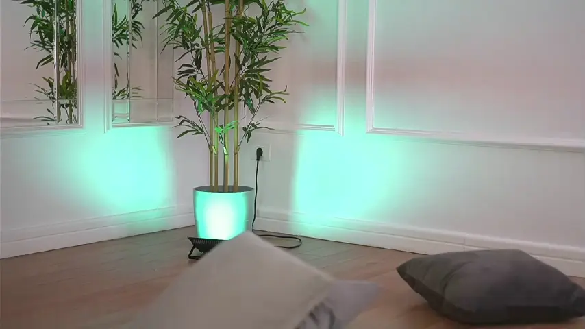 ellacandy