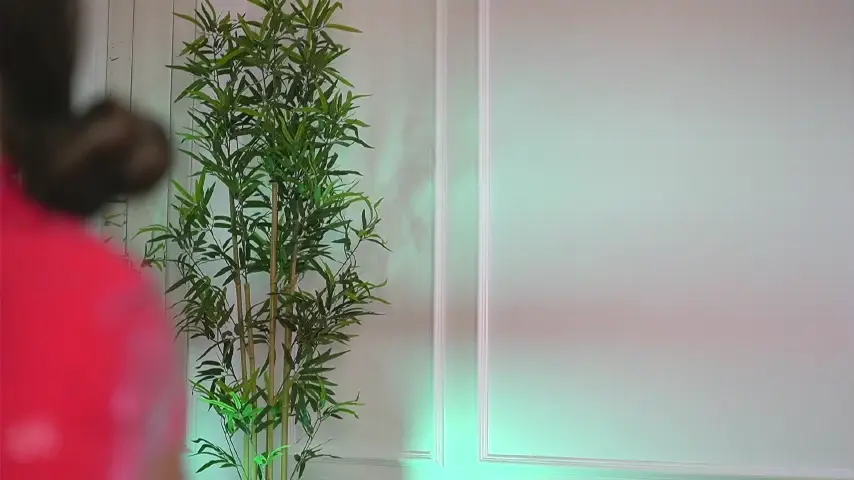 ellacandy
