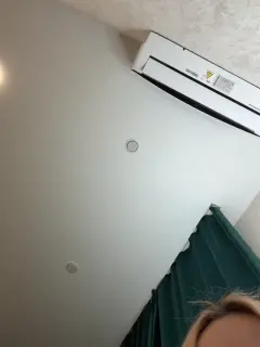 ellidi