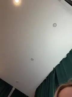 ellidi