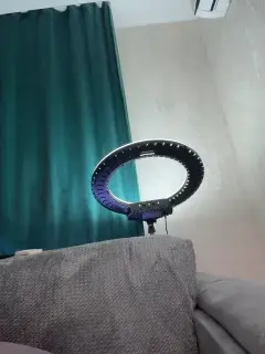 ellidi