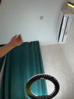 ellidi