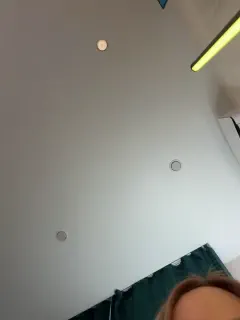 ellidi
