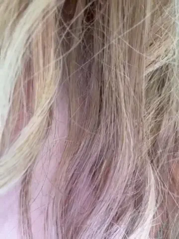 ellidi