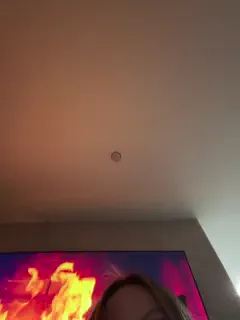 ellidi