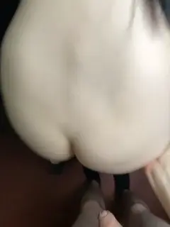 fregidaaa