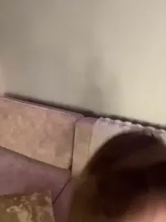 iblisss