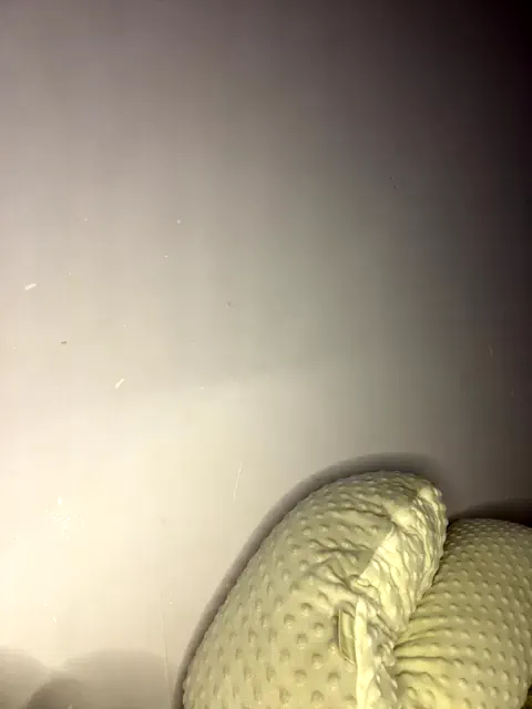 kamiandserg566
