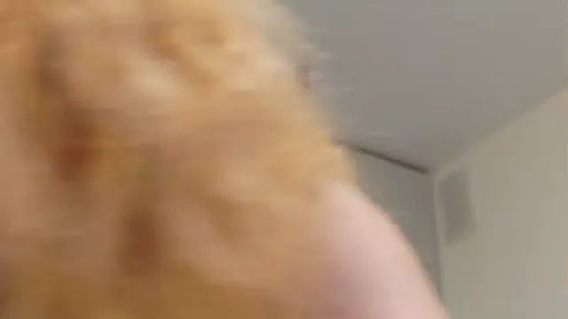 ladybigsmile