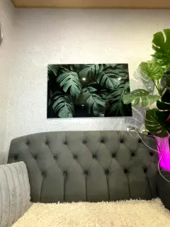 lanysikk