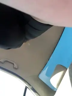 ledymiya