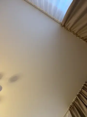 ledymiya