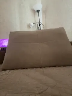 ledymiya
