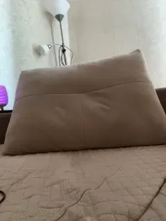 ledymiya