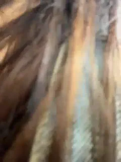 linahelen