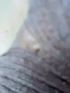 linahelen