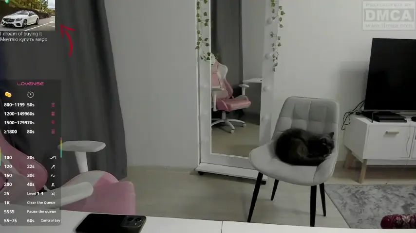 lissazmark2