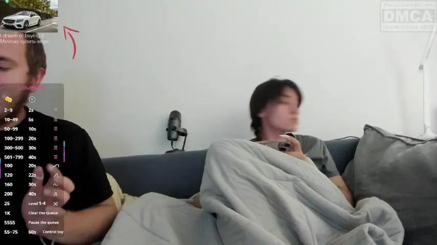 lissazmark2