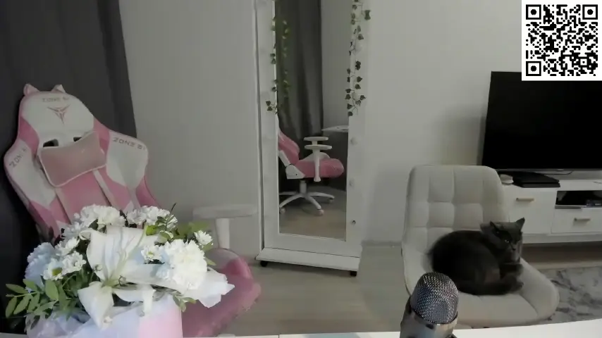 lissazmark2