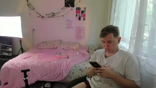 lissazmark2