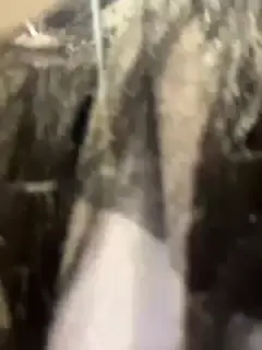 markaa0