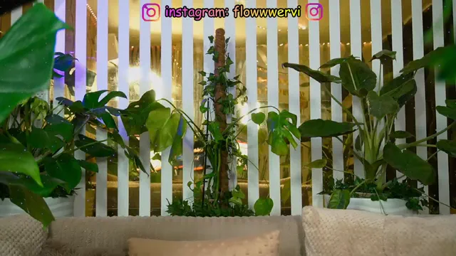 mialiahot