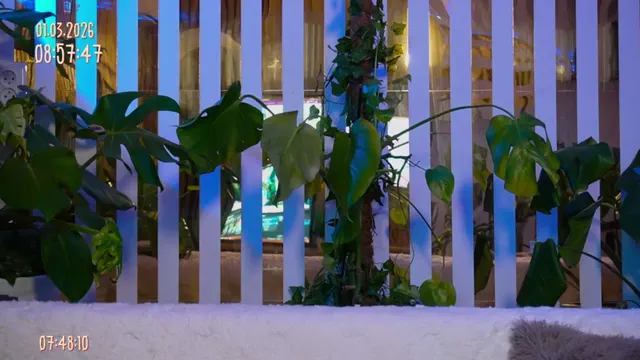 mialiahot