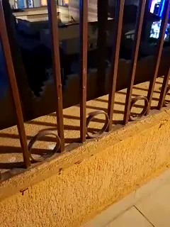 murr-kitty