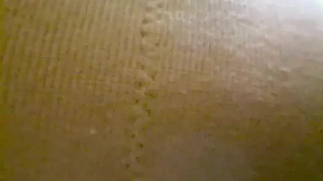 nidhilove